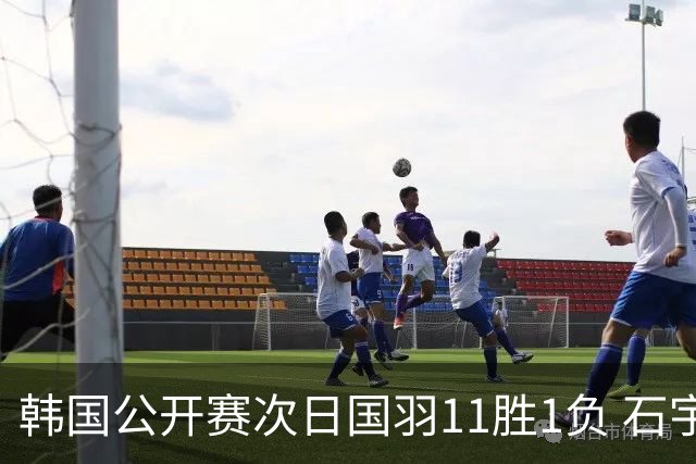 韩国公开赛次日国羽11胜1负 石宇奇李诗沣晋级